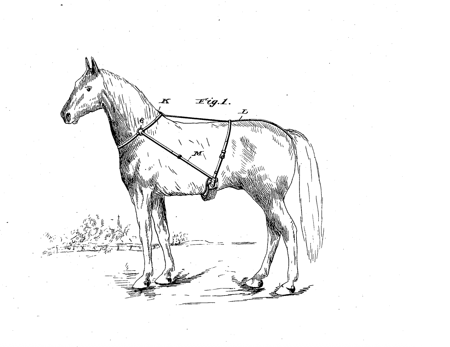 The Crusade to Keep Horses from Jerking Off eBaum's World